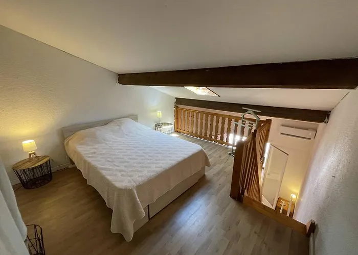 Pavillon Climatise Avec Mezzanine, 4 Couchages, Proche Et Commerces, Parking Prive, St-cyprien - Fr-1-106-105