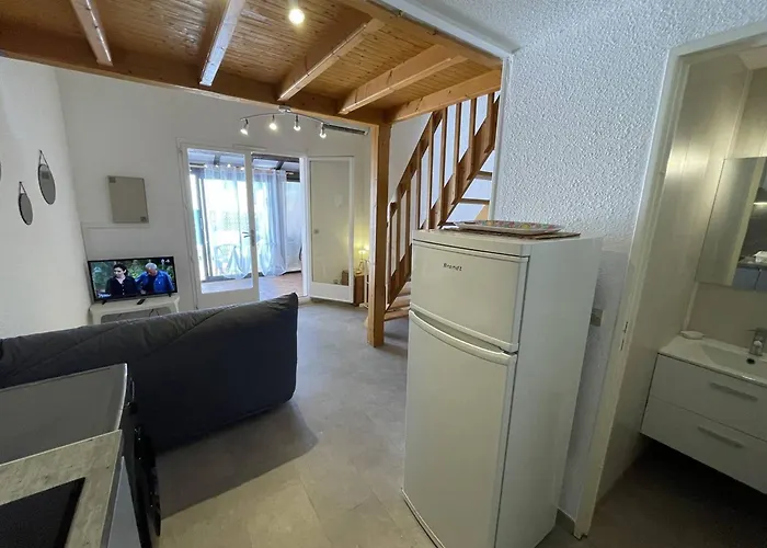 Pavillon Climatise Avec Mezzanine, 4 Couchages, Proche Et Commerces, Parking Prive, St-cyprien - Fr-1-106-105 Villa